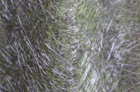 Manningtree fibreglass roof work